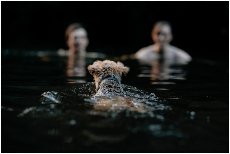 Wild swimming//engagement shoot//Dartmoor