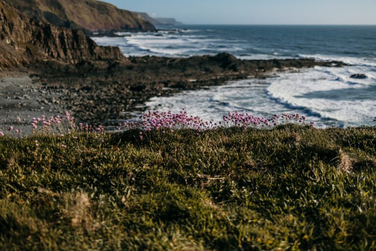 The South West Coast Path | Portrait session